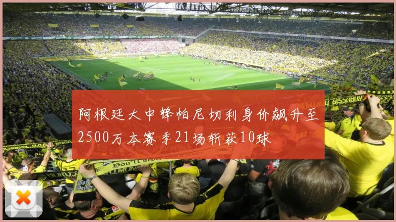 阿根廷大中锋帕尼切利身价飙升至2500万本赛季21场斩获10球