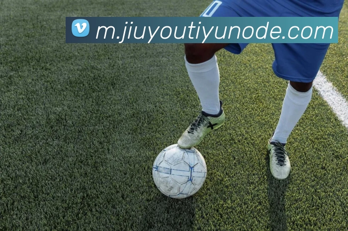 九游体育平台生态图