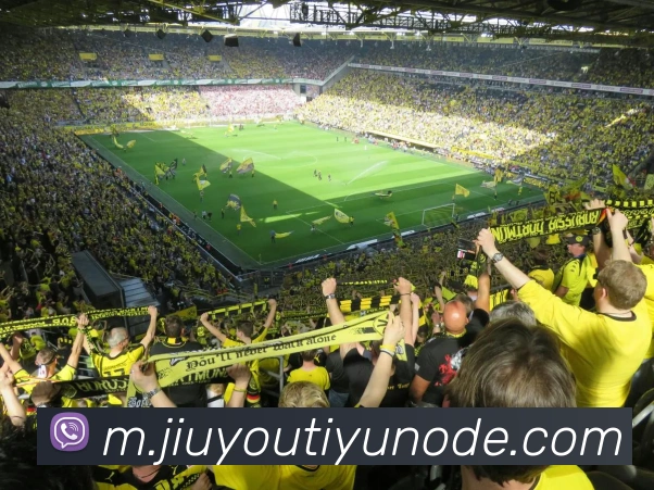 九游体育APP 封面图